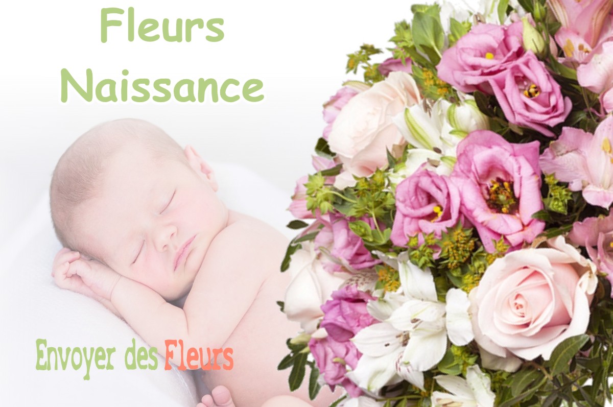 lIVRAISON FLEURS NAISSANCE à POMMIERS-LA-PLACETTE