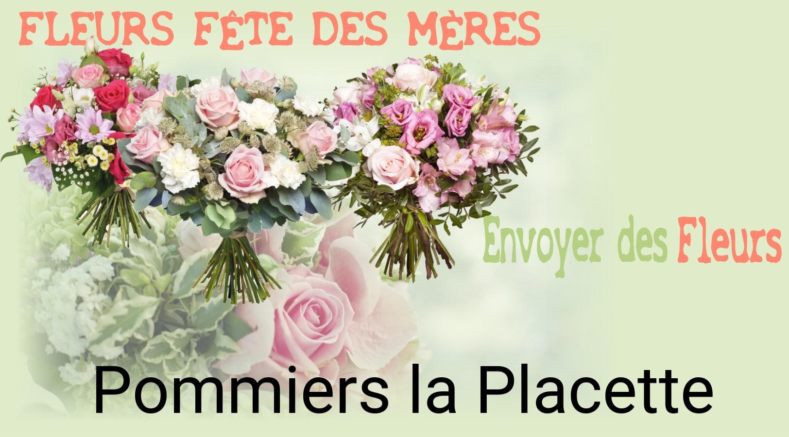 Bouquet de Fête des Mères livré à Pommiers-la-Placette